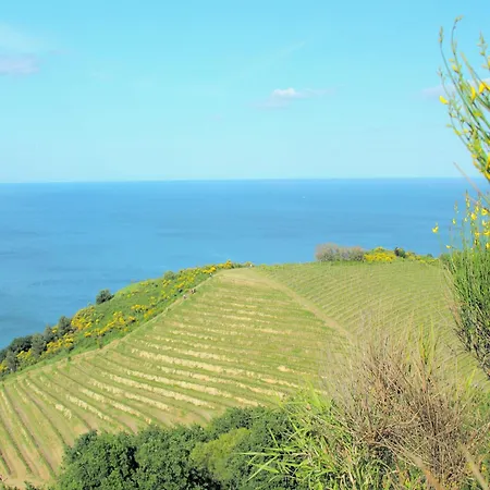 Apartment Apartment Tavullia With Pool & Coast, Cleaning Included
